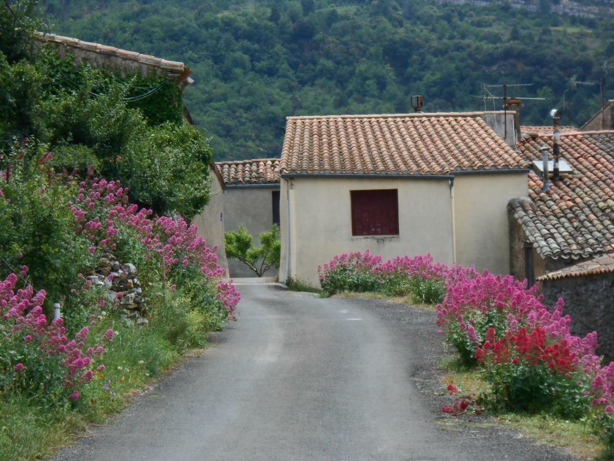 Maison Palmeral Coustaussa Εξωτερικό φωτογραφία